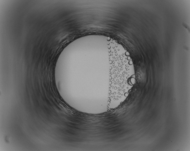 X0000098040964200804251036