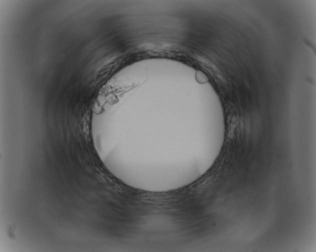 X0000098040966200804251036