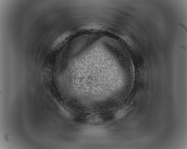 X0000098040967200804251036