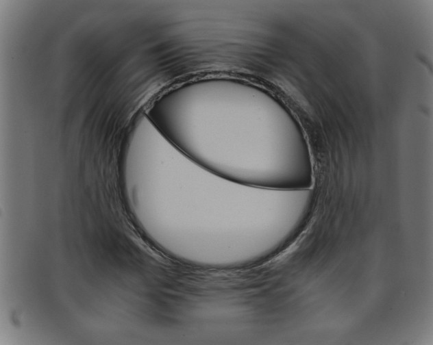 X0000098040969200804251036