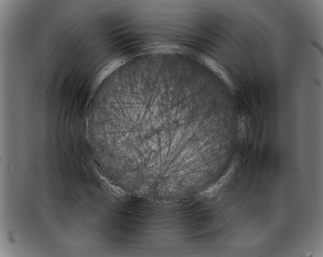 X0000098040970200804251036