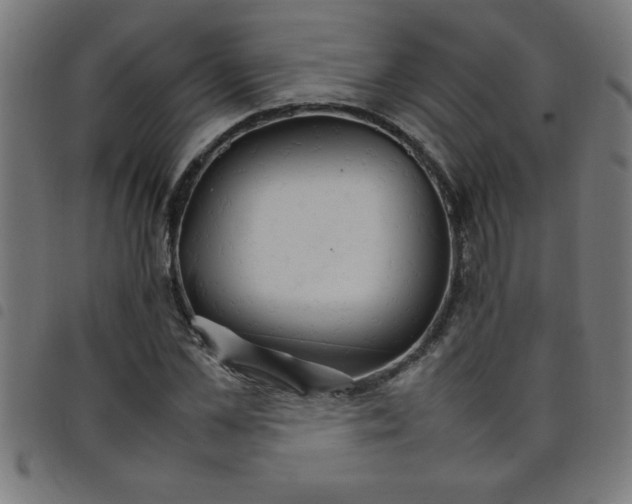 X0000098040973200804251036