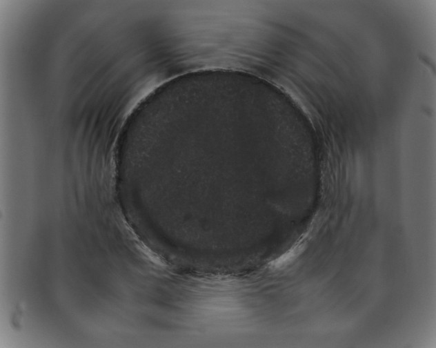 X0000098040975200804251035