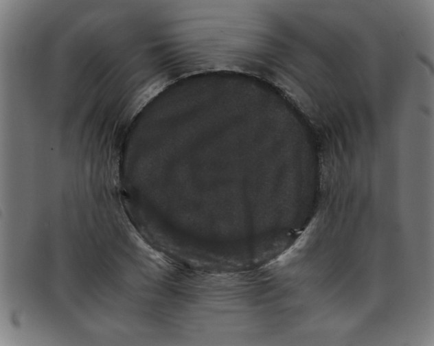 X0000098040977200804251035