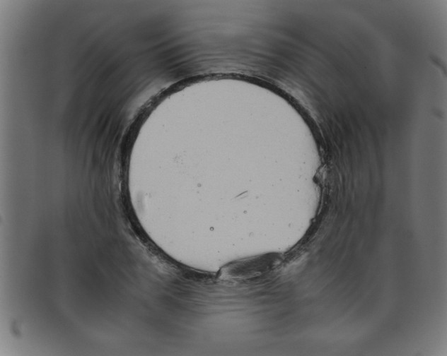 X0000098040979200804251035