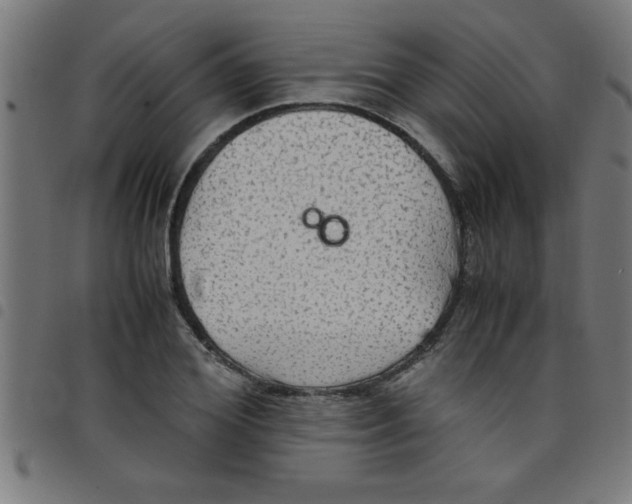 X0000098040980200804251035