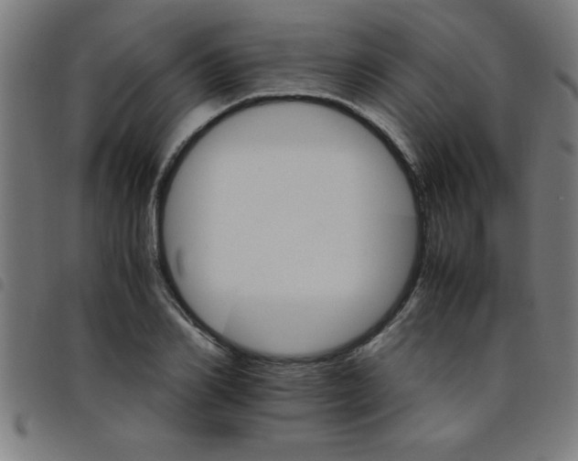 X0000098040982200804251035