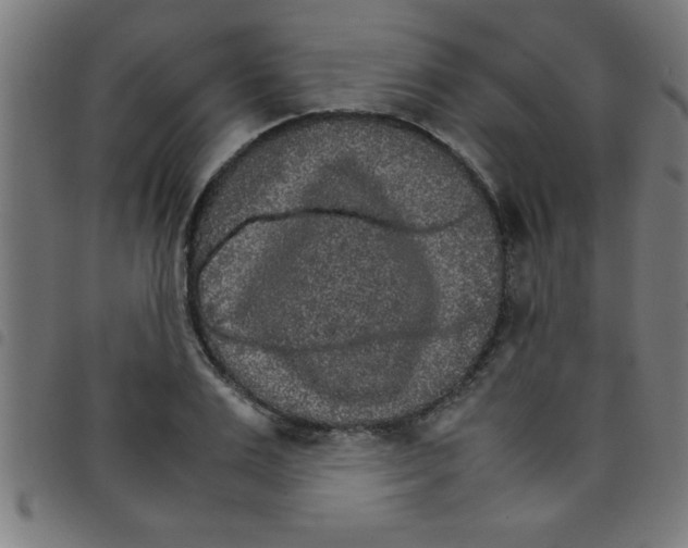 X0000098040983200804251035