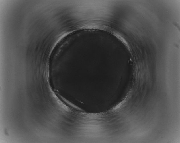 X0000098040984200804251035