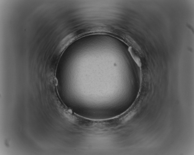 X0000098040985200804251035