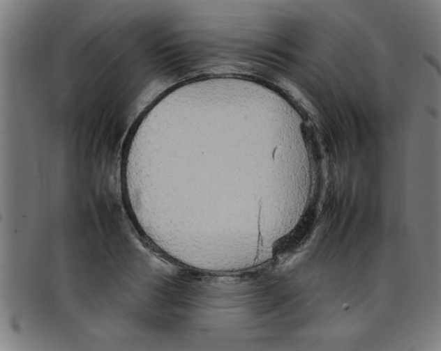 X0000098040986200804251035