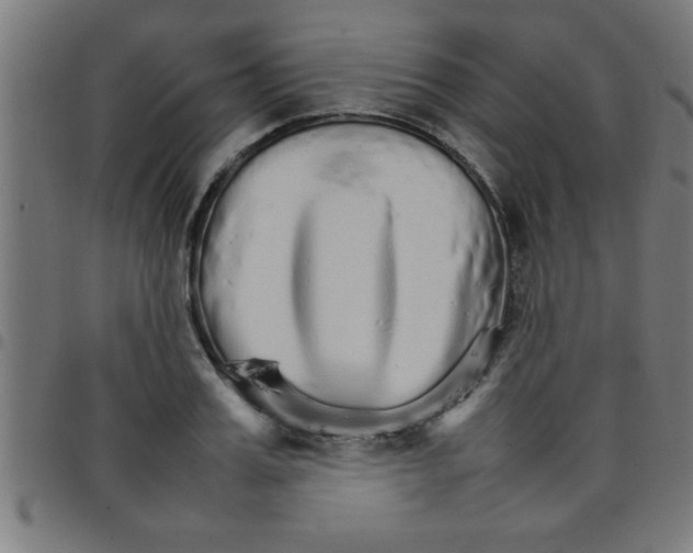 X0000098040987200804251035