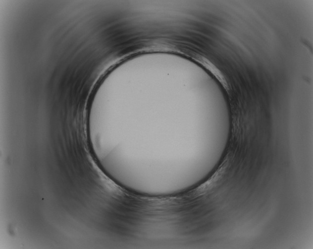 X0000098040988200804251035