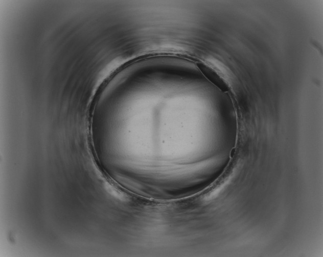 X0000098040989200804251035