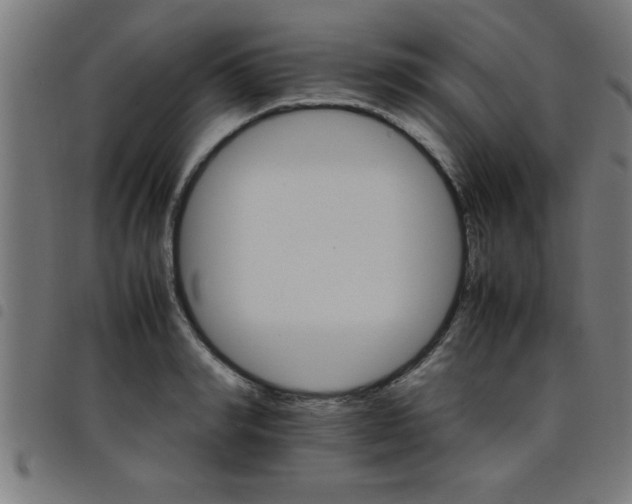 X0000098040990200804251035