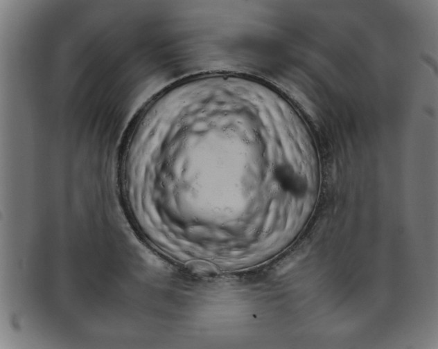 X0000098040991200804251035