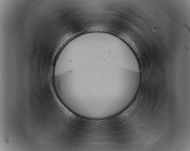 X0000098040992200804251035