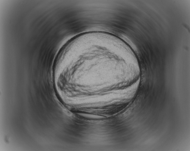 X0000098040996200804251035