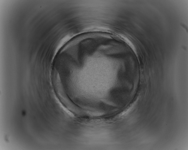 X0000098040997200804251035