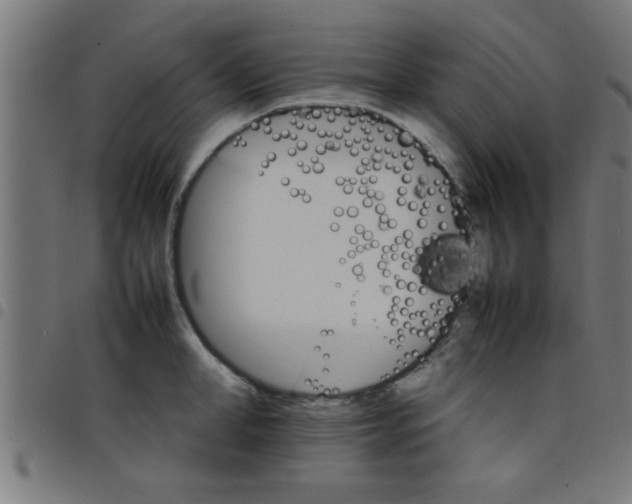 X0000098040998200804251035