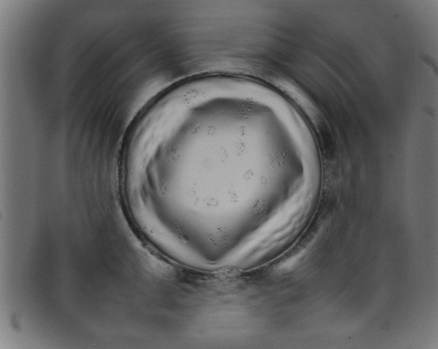 X0000098040999200804251035