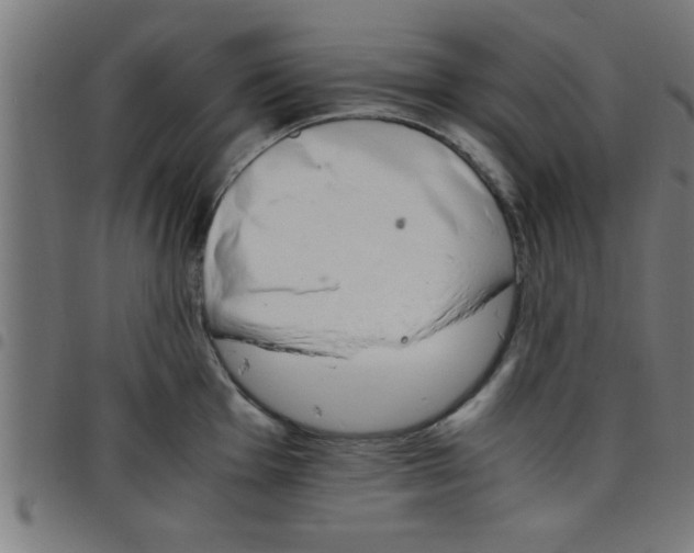 X0000098041001200804251035