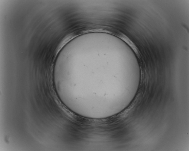 X0000098041002200804251035