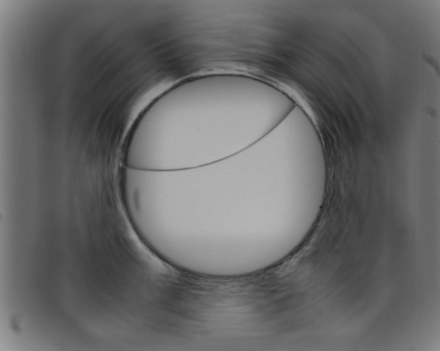 X0000098041003200804251035