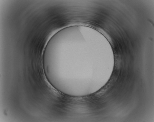 X0000098041004200804251035