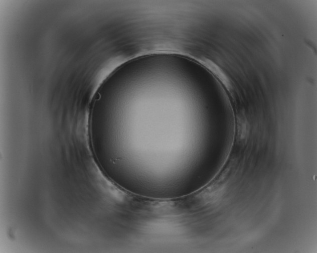 X0000098041006200804251035