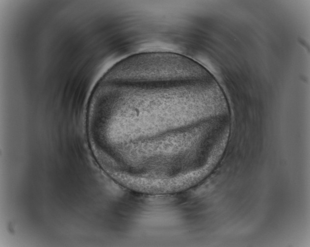 X0000098041008200804251035