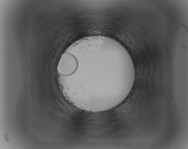 X0000098041009200804251034