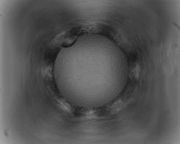 X0000098041010200804251034