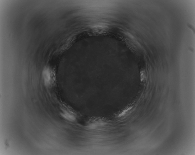 X0000098041011200804251034