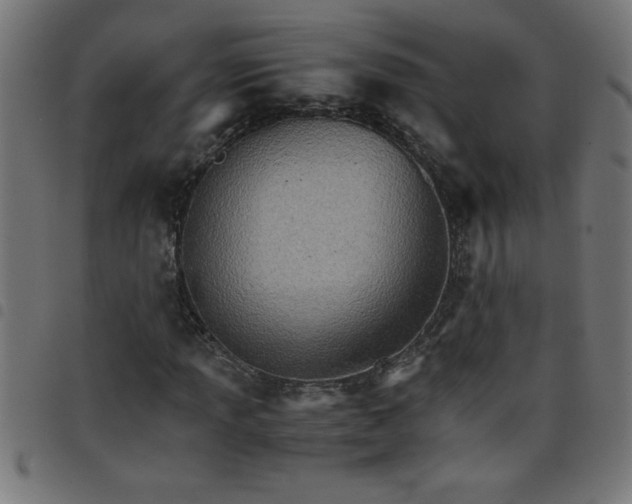 X0000098041013200804251034