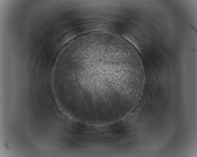 X0000098041015200804251034