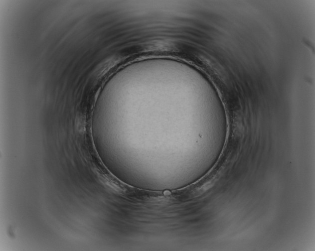 X0000098041017200804251034