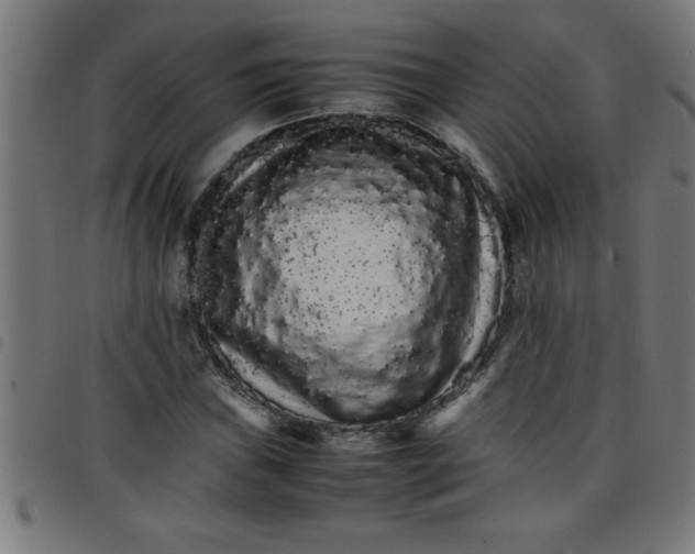 X0000098041019200804251034