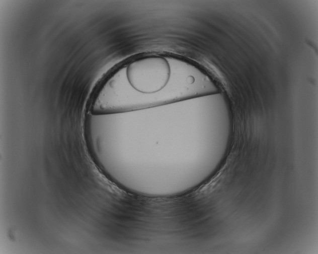 X0000098041020200804251034