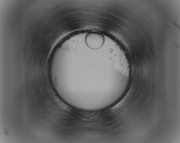 X0000098041021200804251034