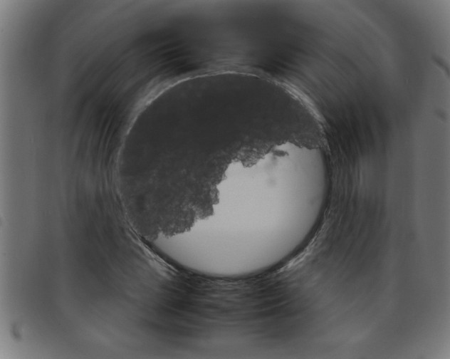 X0000098041023200804251034