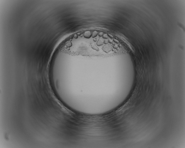 X0000098041024200804251034