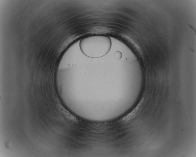 X0000098041025200804251034