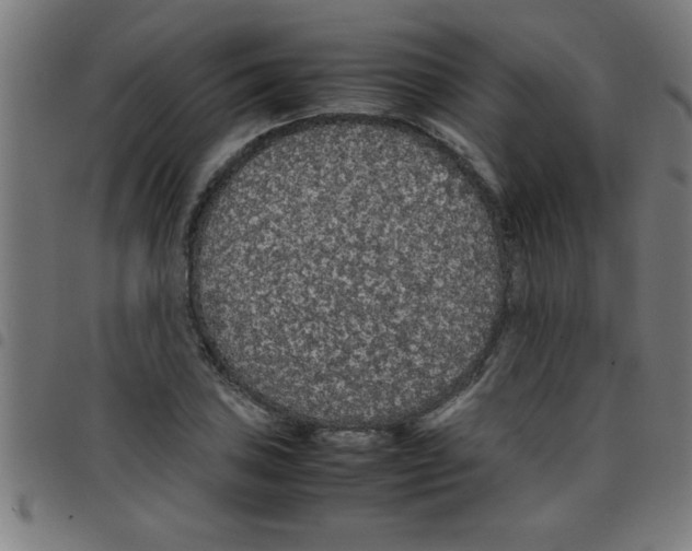 X0000098041027200804251034