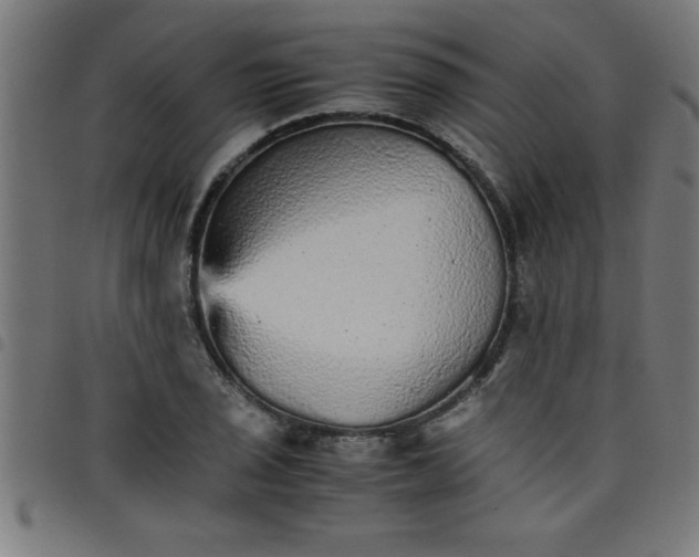 X0000098041029200804251034