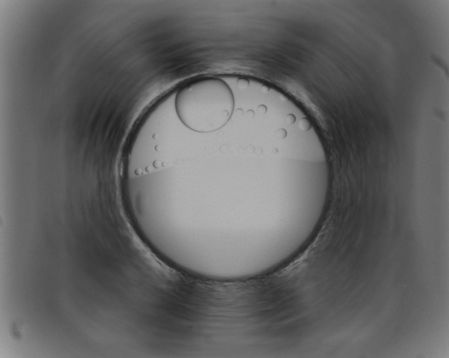 X0000098041032200804251035