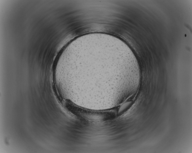 X0000098041034200804251035