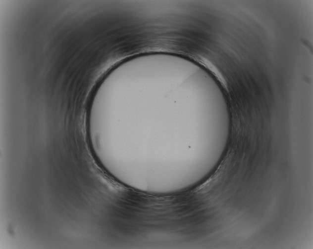 X0000098041035200804251035