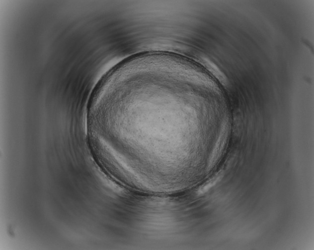 X0000098041036200804251035