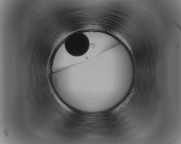 X0000098041037200804251035